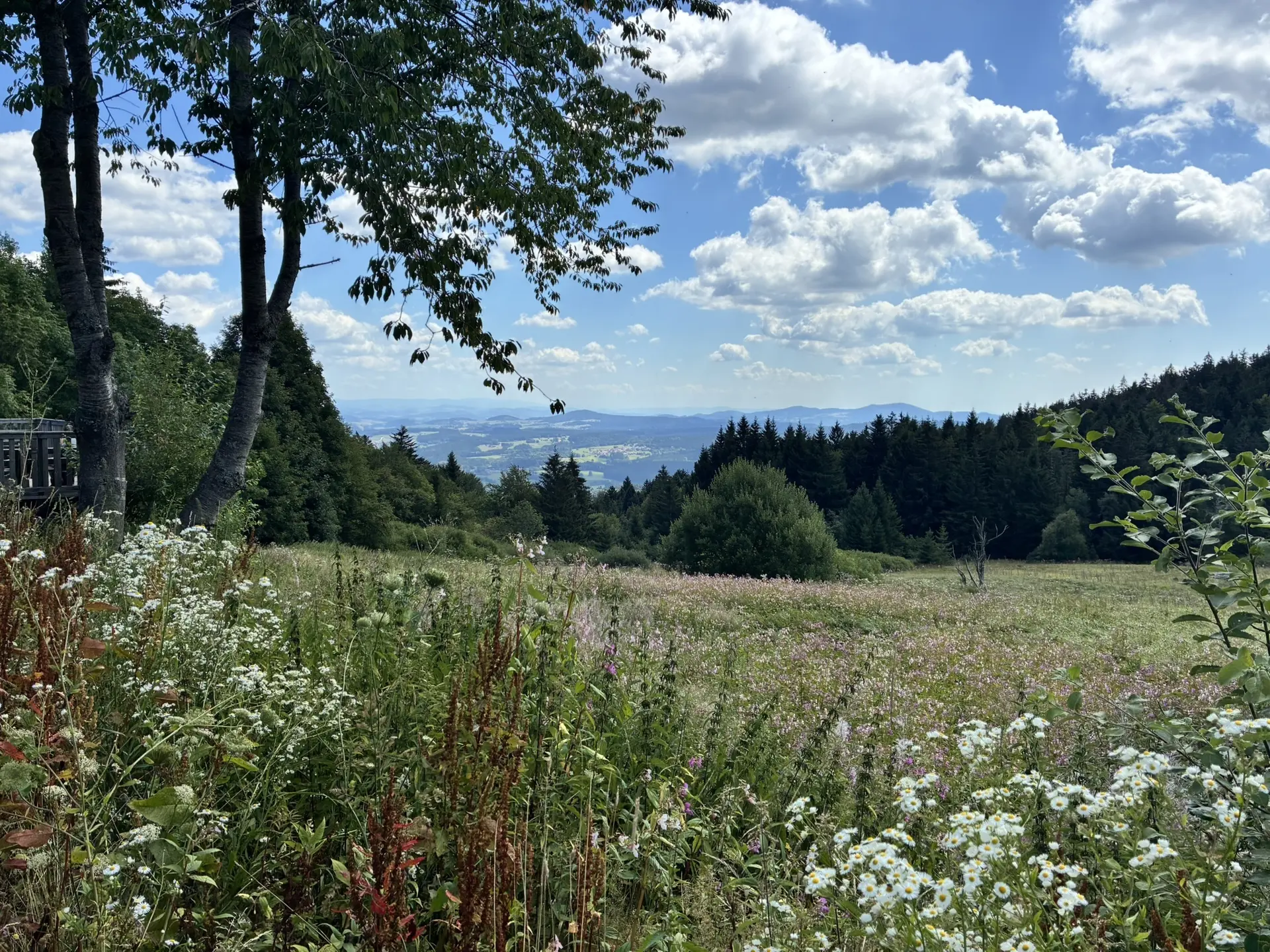 Wanderung zum Landshuter Haus | © Herold Kristine