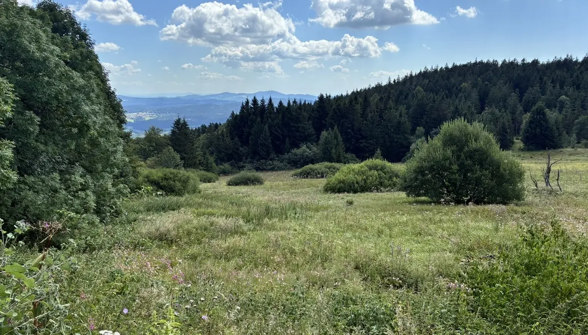 Wanderung zum Landshuter Haus | © Herold Kristine