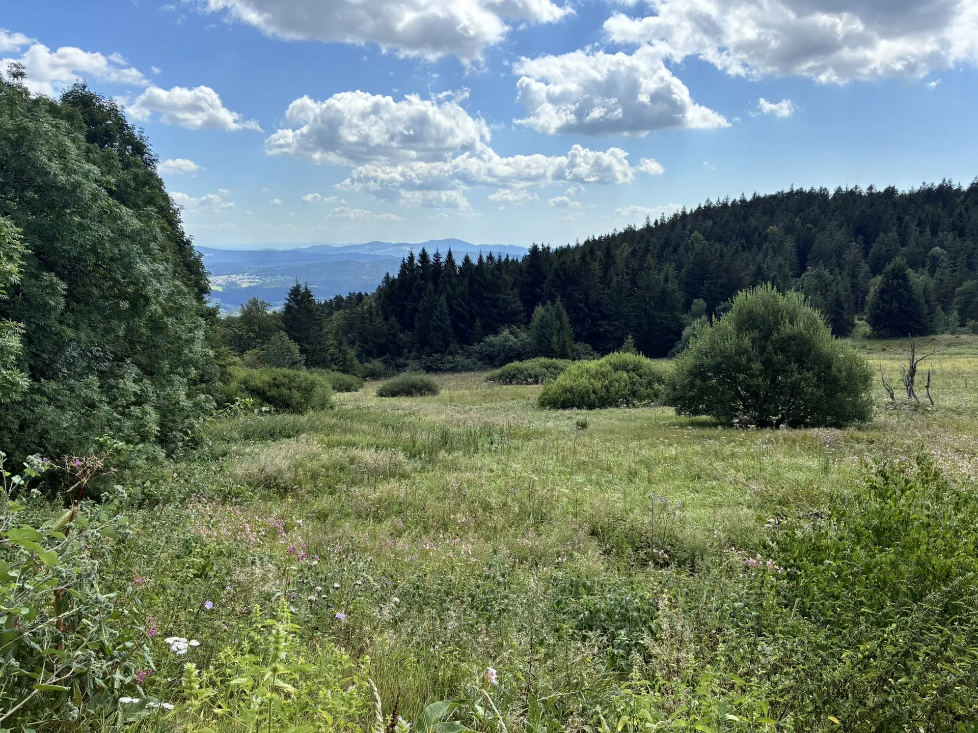 Wanderung zum Landshuter Haus | © Herold Kristine