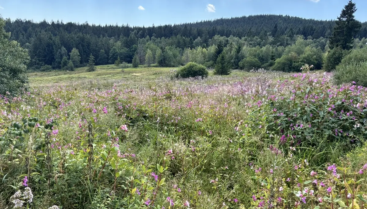 Wanderung zum Landshuter Haus | © Herold Kristine