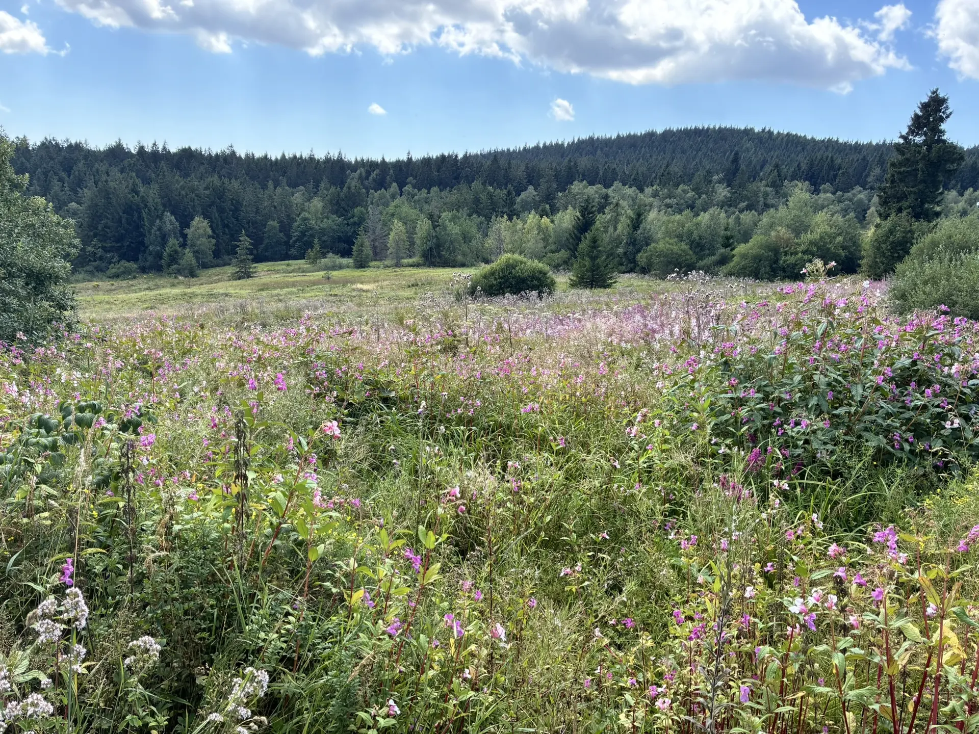 Wanderung zum Landshuter Haus | © Herold Kristine