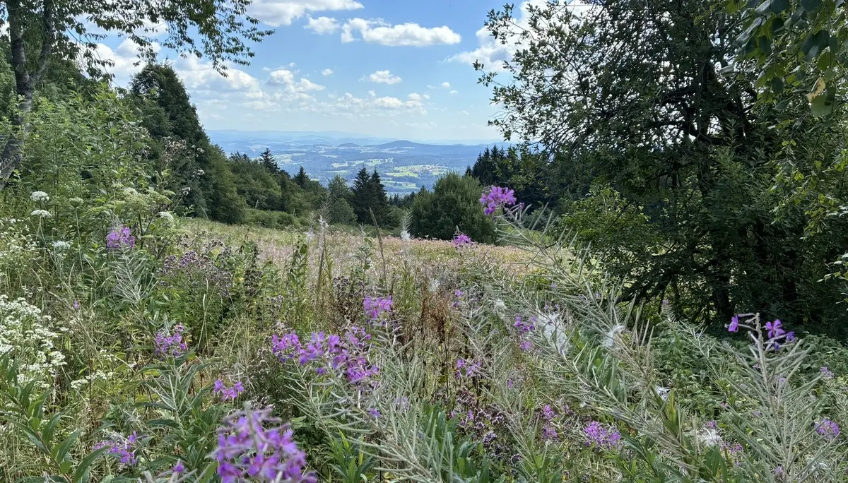 Wanderung zum Landshuter Haus | © Herold Kristine