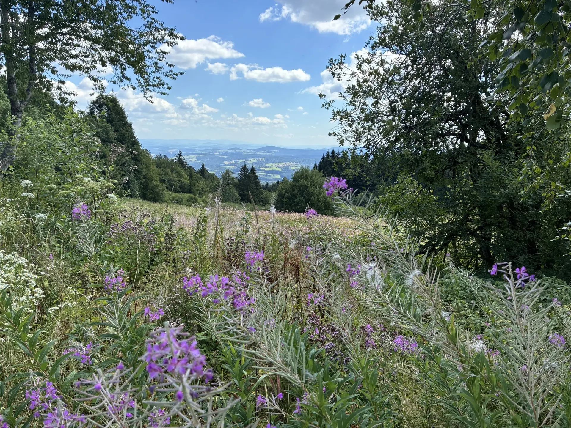 Wanderung zum Landshuter Haus | © Herold Kristine