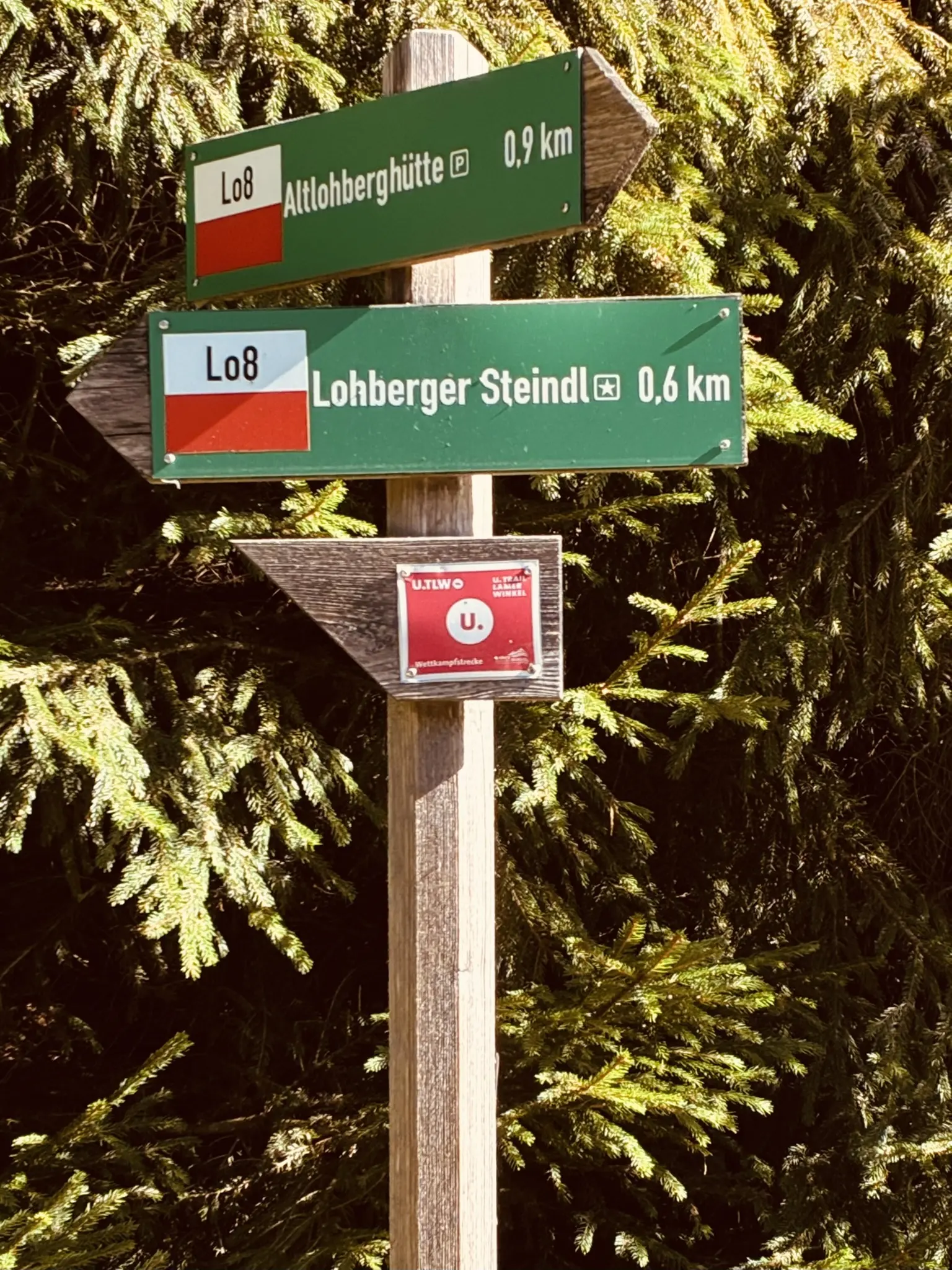 Wanderung zum Lohberger Steindl | © Killesreiter Marlene