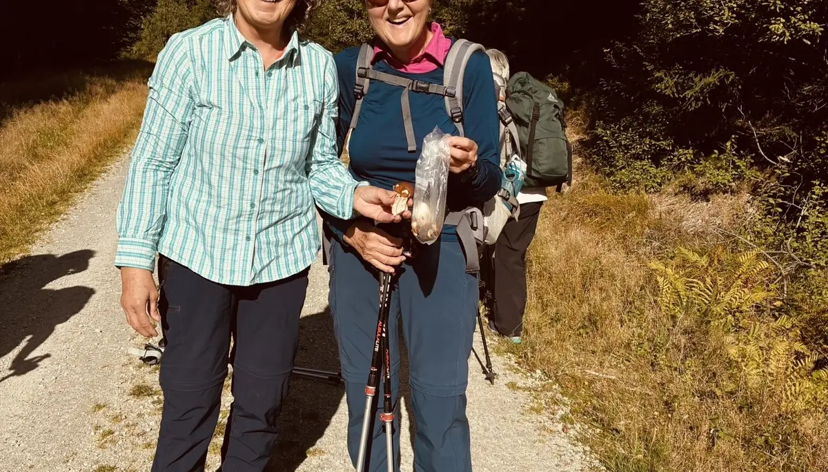 Wanderung zum Lohberger Steindl | © Killesreiter Marlene