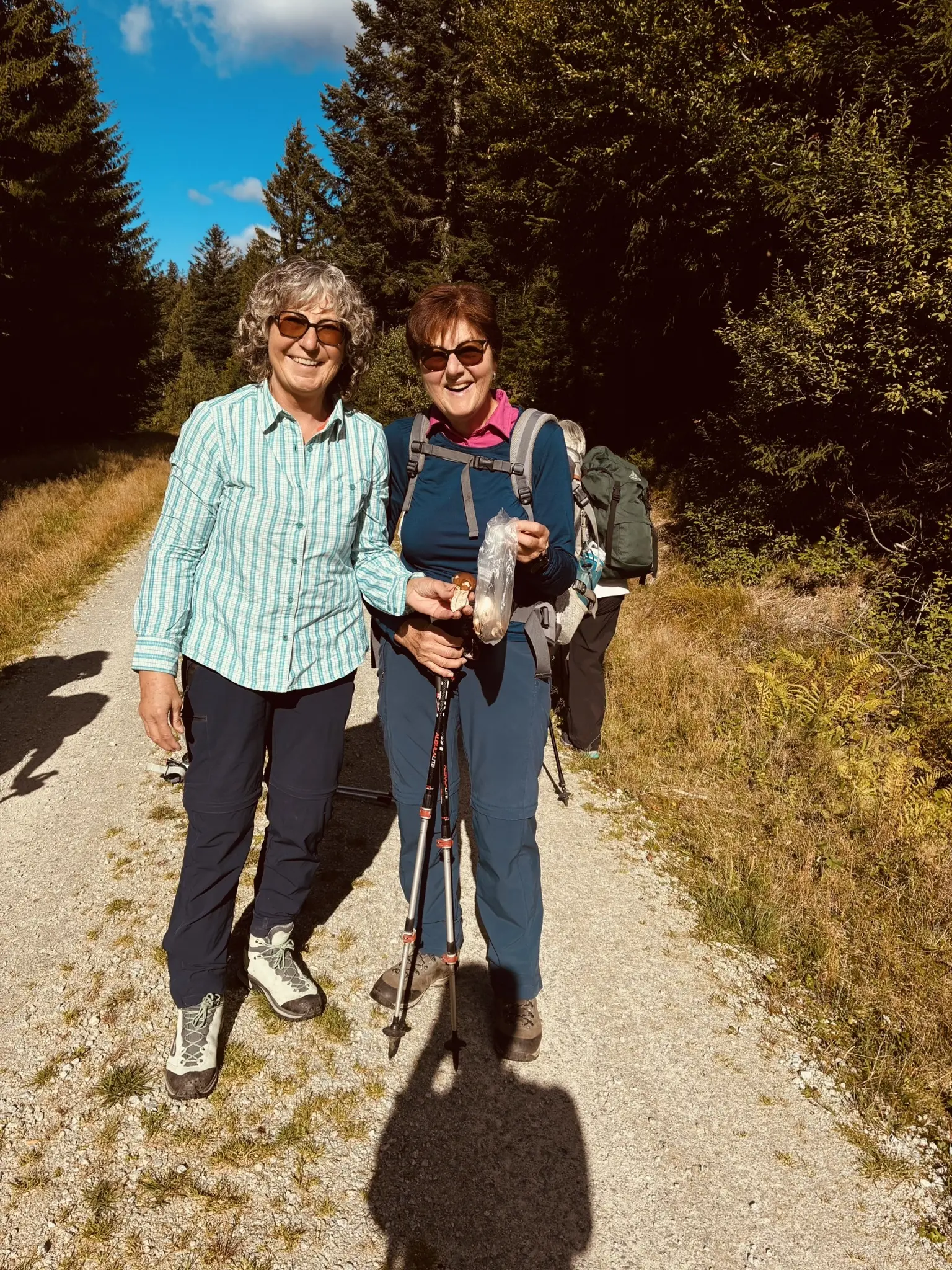 Wanderung zum Lohberger Steindl | © Killesreiter Marlene