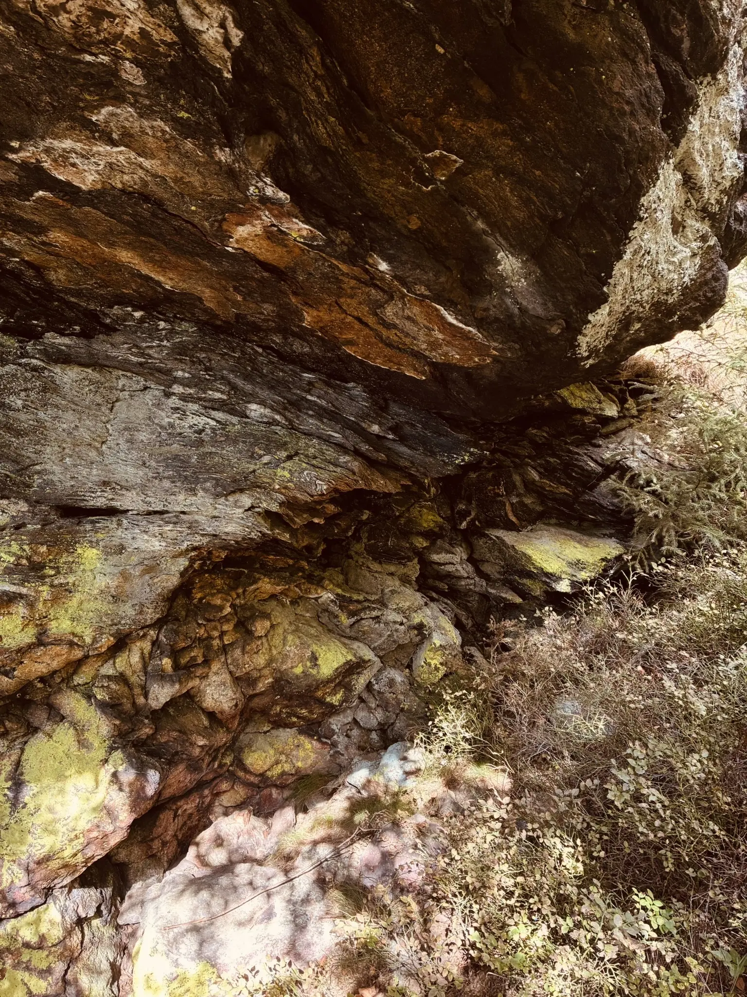 Wanderung zum Lohberger Steindl | © Killesreiter Marlene