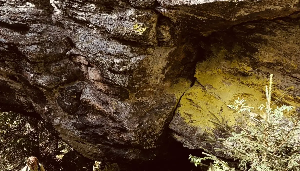 Wanderung zum Lohberger Steindl | © Killesreiter Marlene