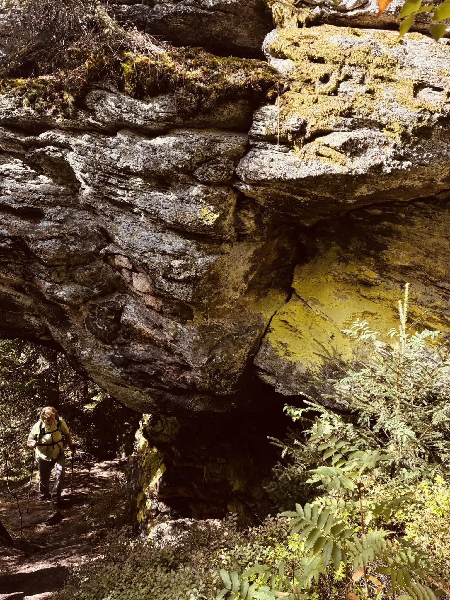 Wanderung zum Lohberger Steindl | © Killesreiter Marlene