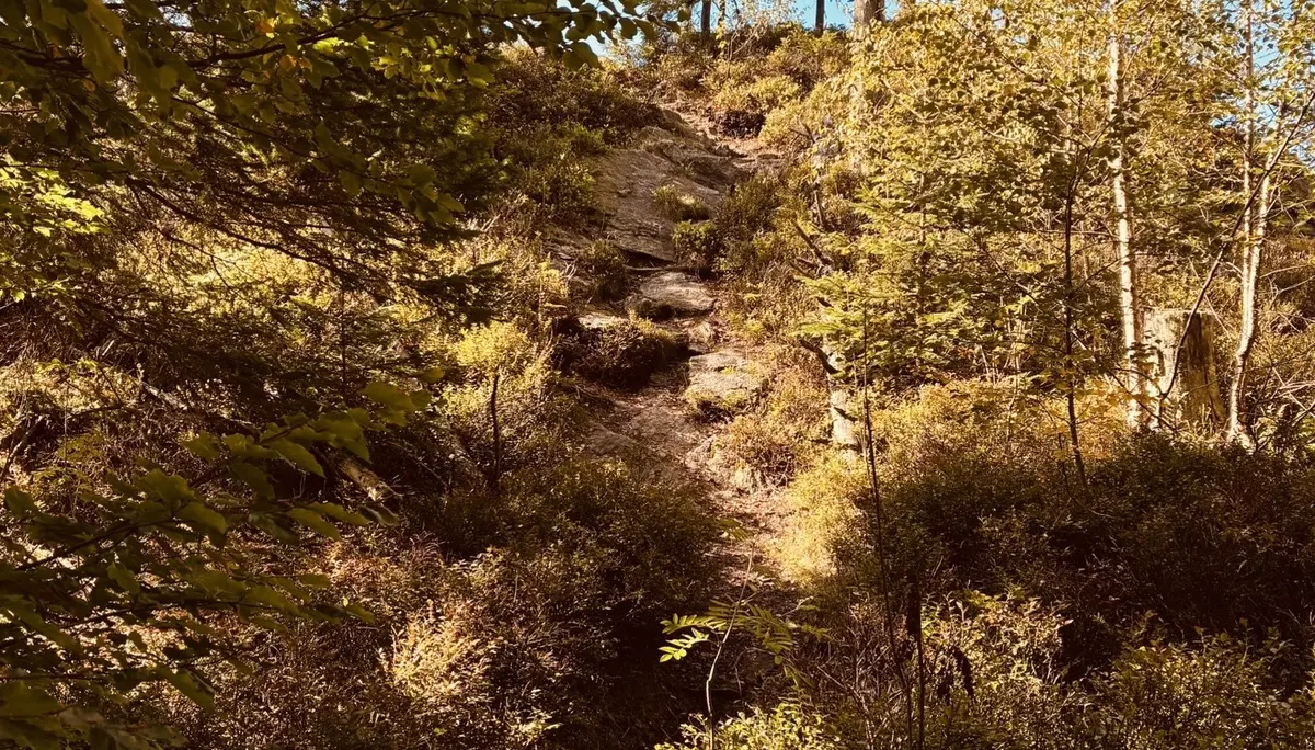 Wanderung zum Lohberger Steindl | © Killesreiter Marlene