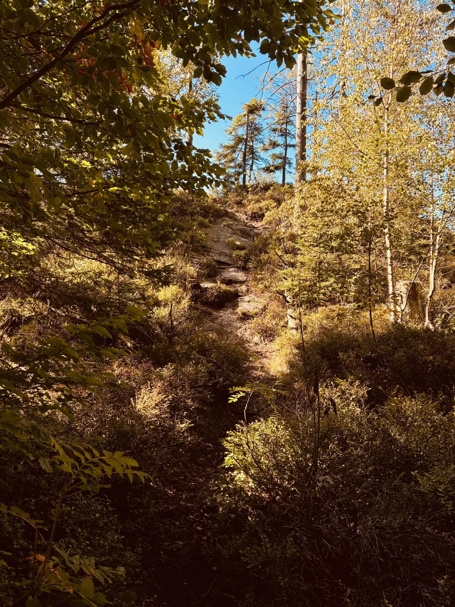 Wanderung zum Lohberger Steindl | © Killesreiter Marlene