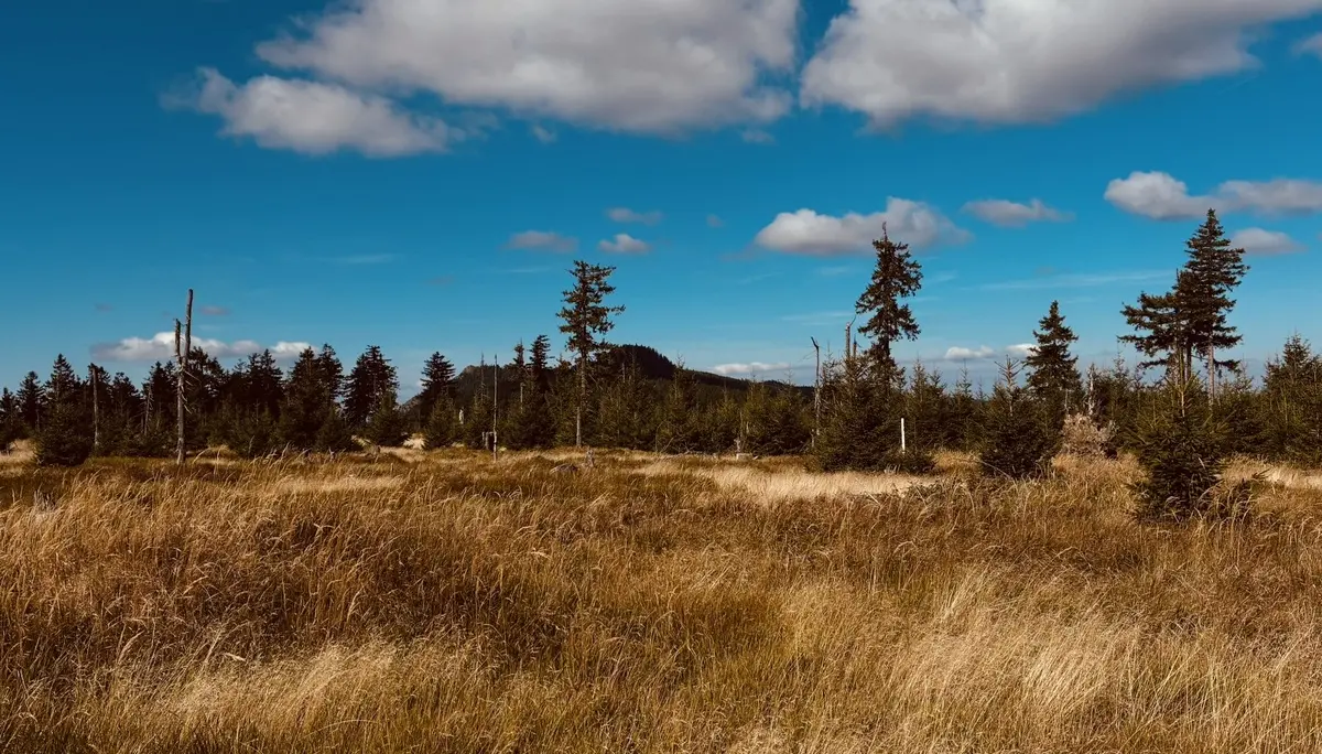 Wanderung zum Lohberger Steindl | © Killesreiter Marlene