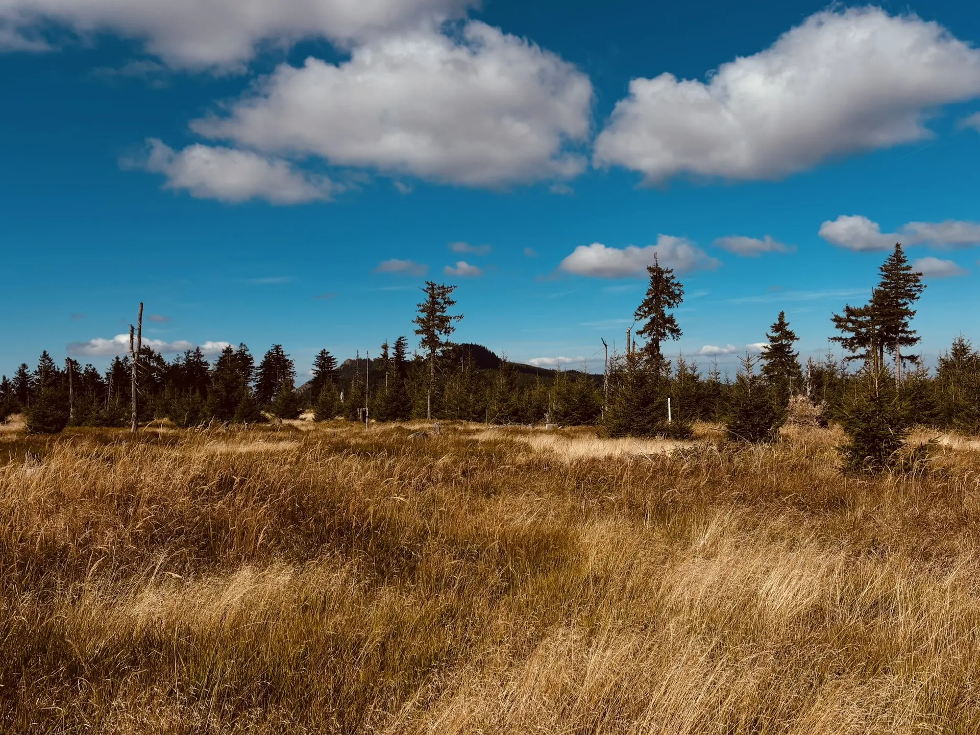 Wanderung zum Lohberger Steindl | © Killesreiter Marlene