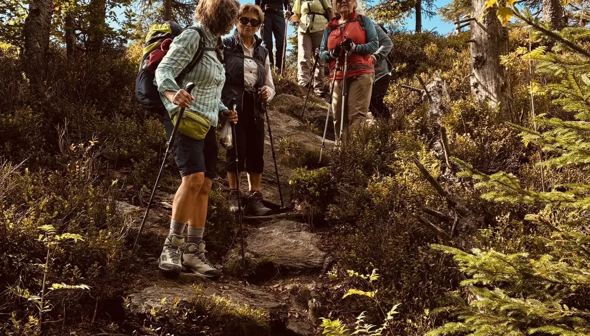 Wanderung zum Lohberger Steindl | © Killesreiter Marlene