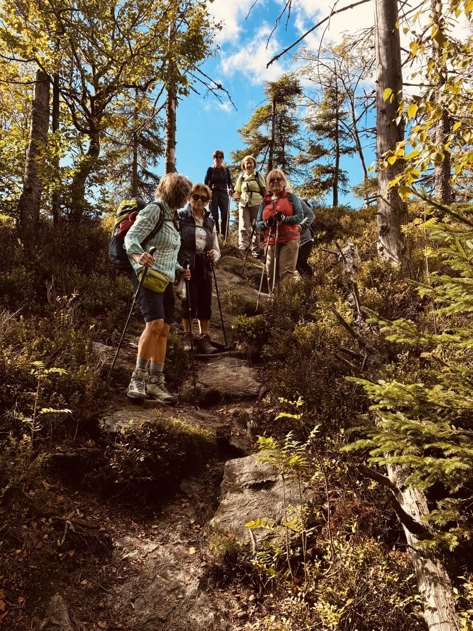 Wanderung zum Lohberger Steindl | © Killesreiter Marlene