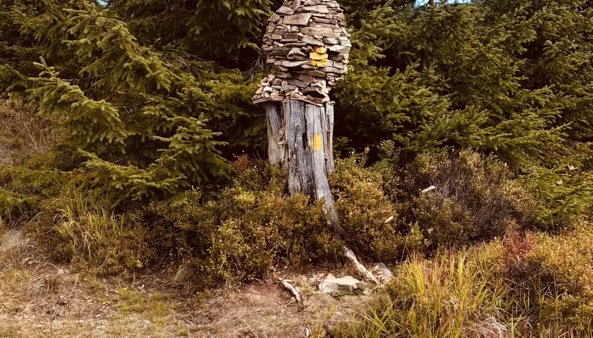 Wanderung zum Lohberger Steindl | © Killesreiter Marlene