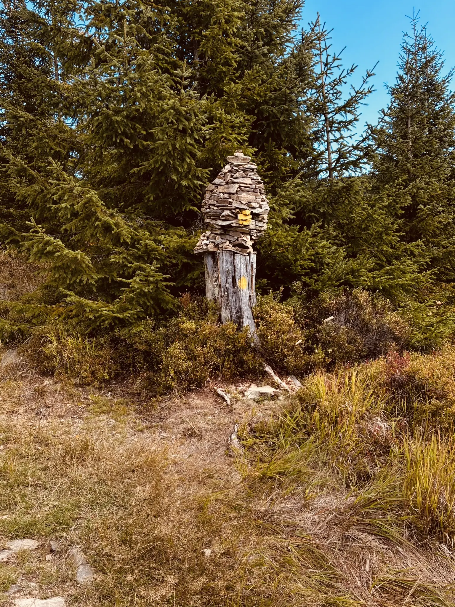 Wanderung zum Lohberger Steindl | © Killesreiter Marlene