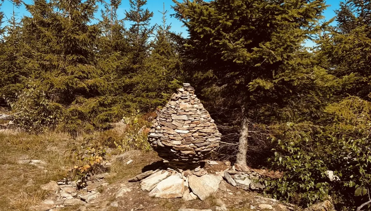 Wanderung zum Lohberger Steindl | © Killesreiter Marlene