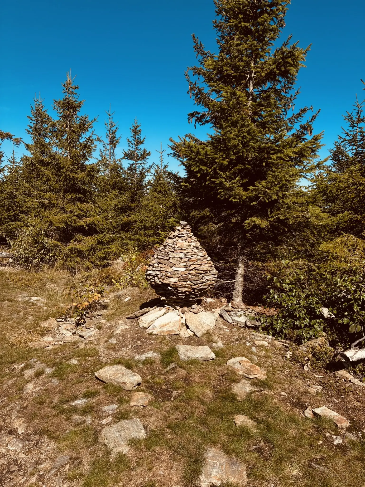 Wanderung zum Lohberger Steindl | © Killesreiter Marlene