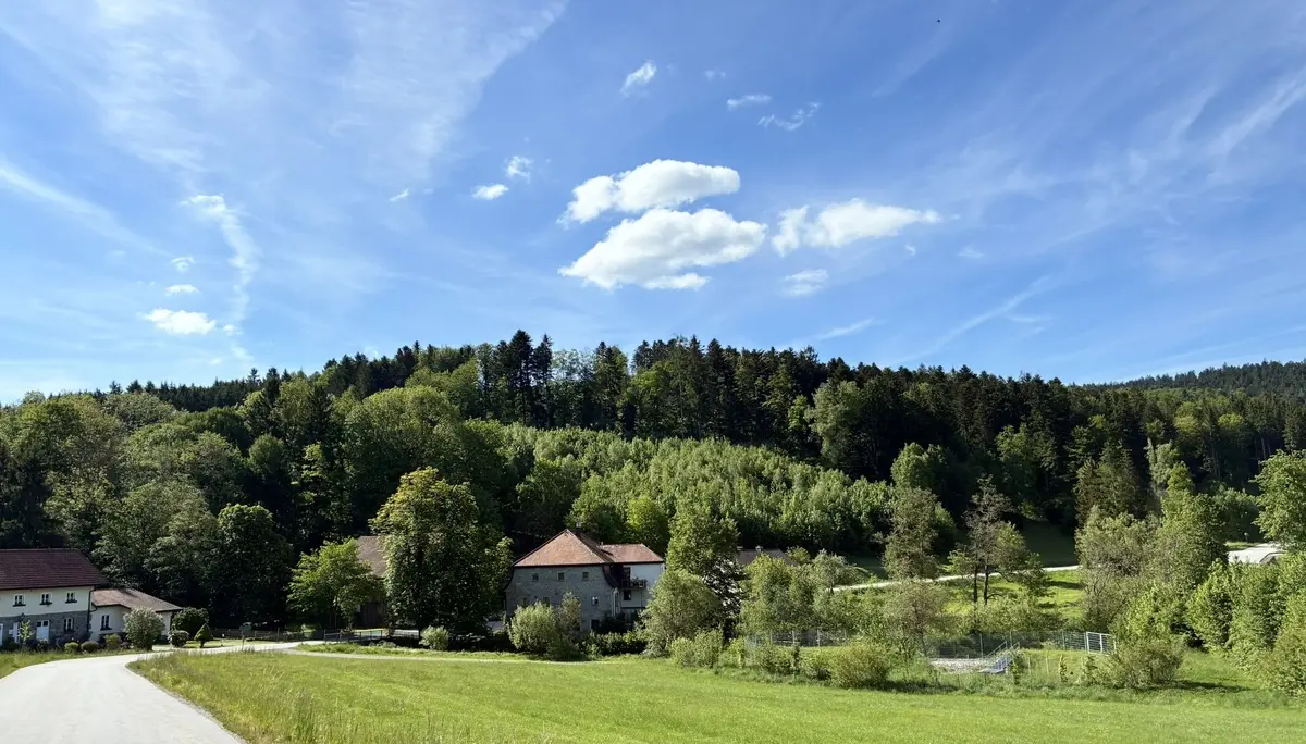 Wanderung durch die Saußbachklamm | © Killesreiter Marlene