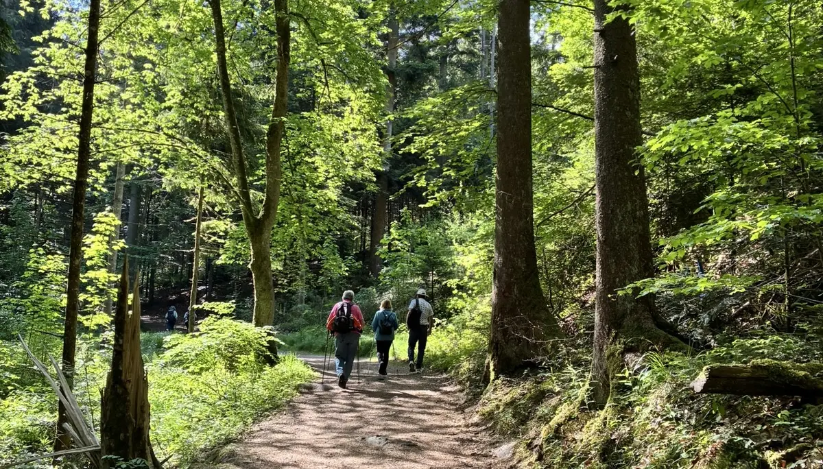 Wanderung durch die Saußbachklamm | © Killesreiter Marlene