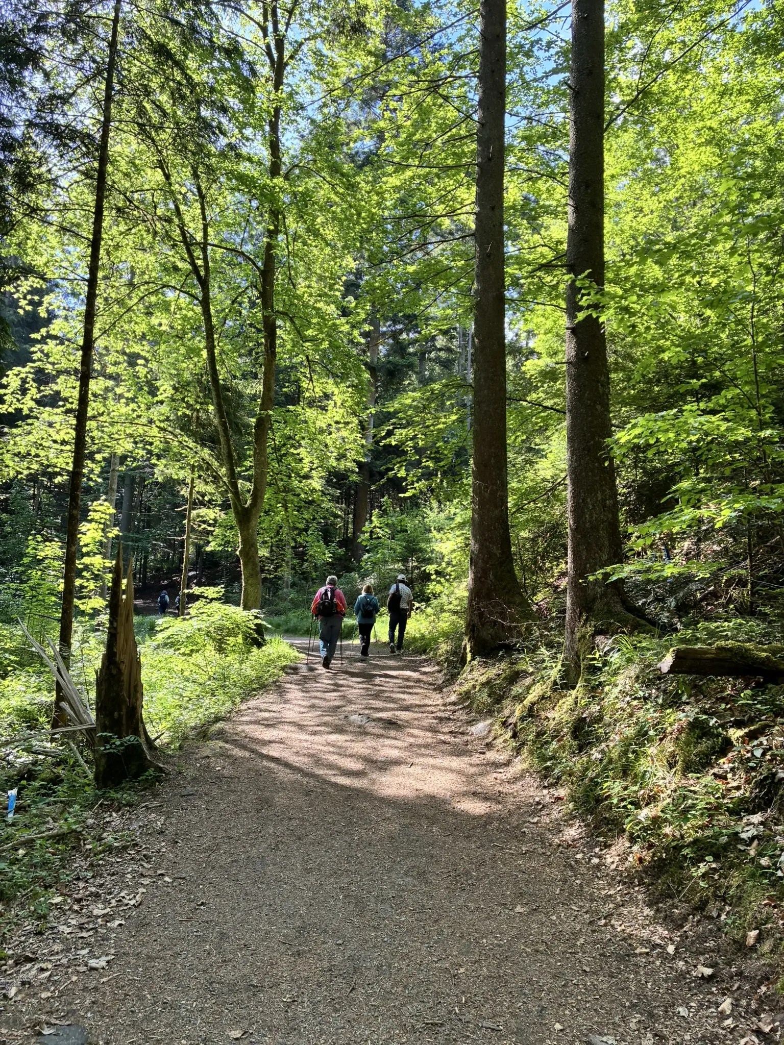 Wanderung durch die Saußbachklamm | © Killesreiter Marlene