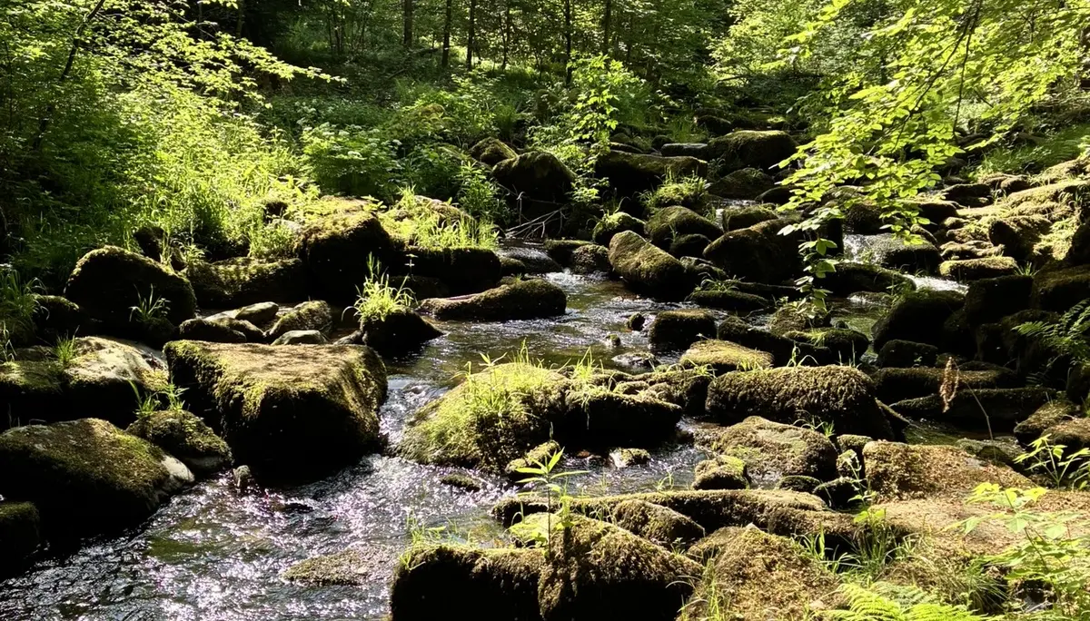 Wanderung durch die Saußbachklamm | © Killesreiter Marlene