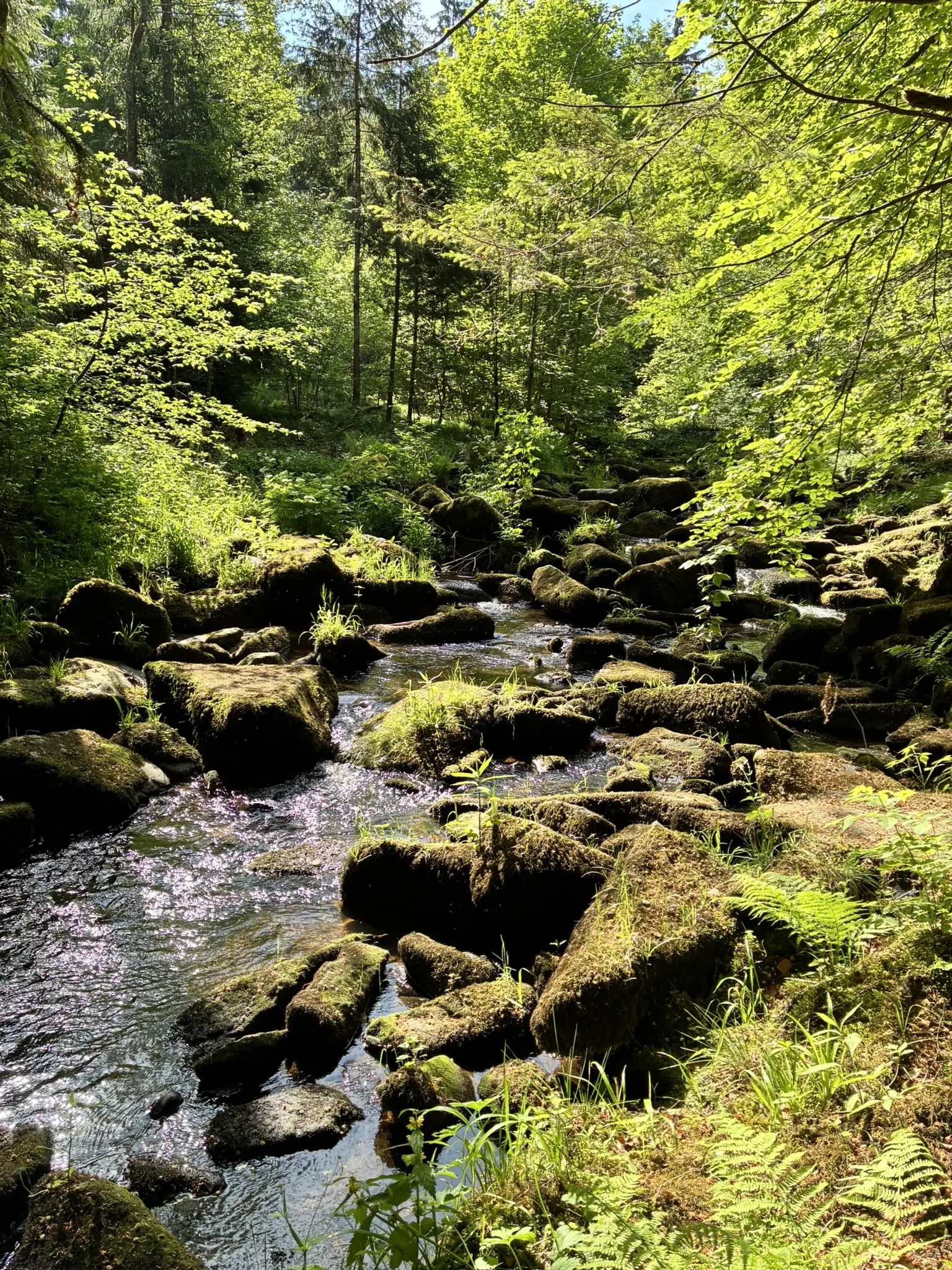 Wanderung durch die Saußbachklamm | © Killesreiter Marlene