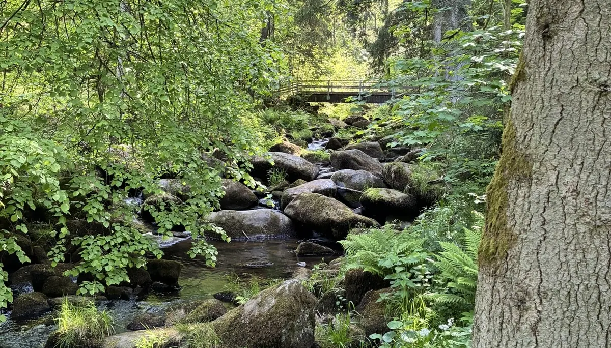 Wanderung durch die Saußbachklamm | © Killesreiter Marlene