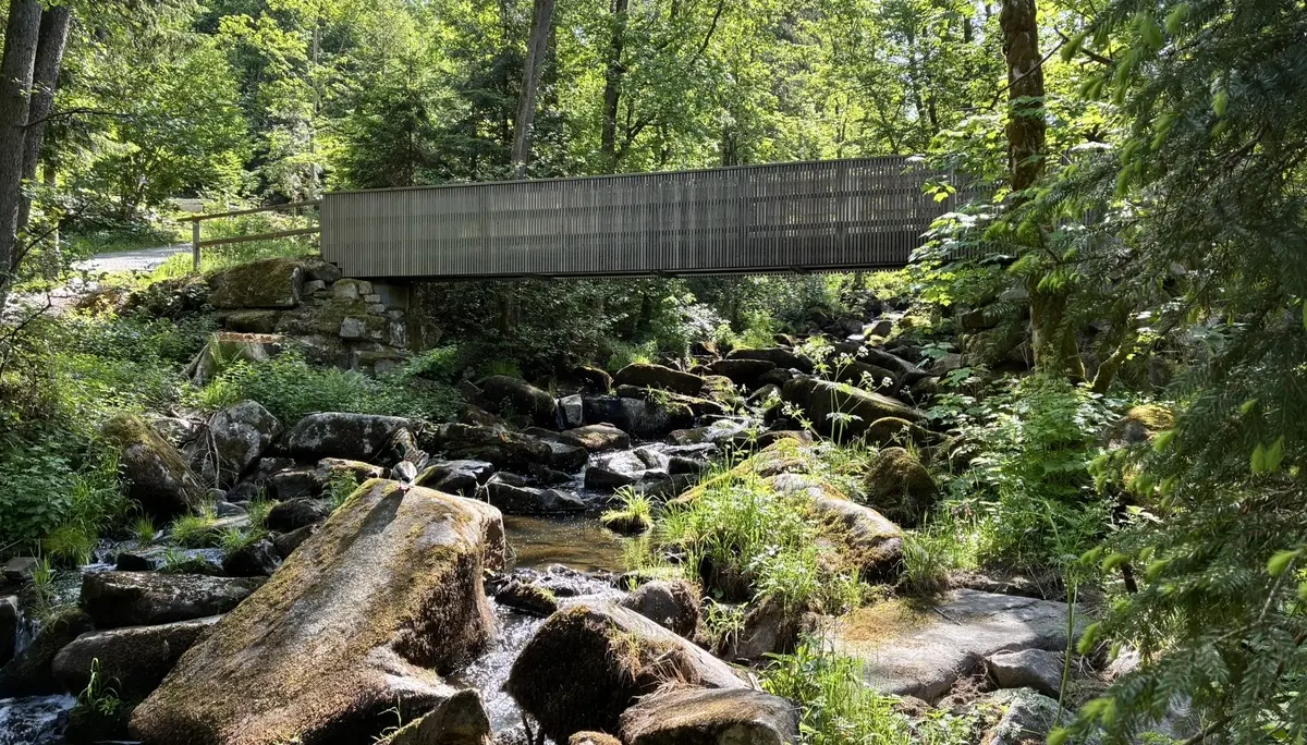 Wanderung durch die Saußbachklamm | © Killesreiter Marlene