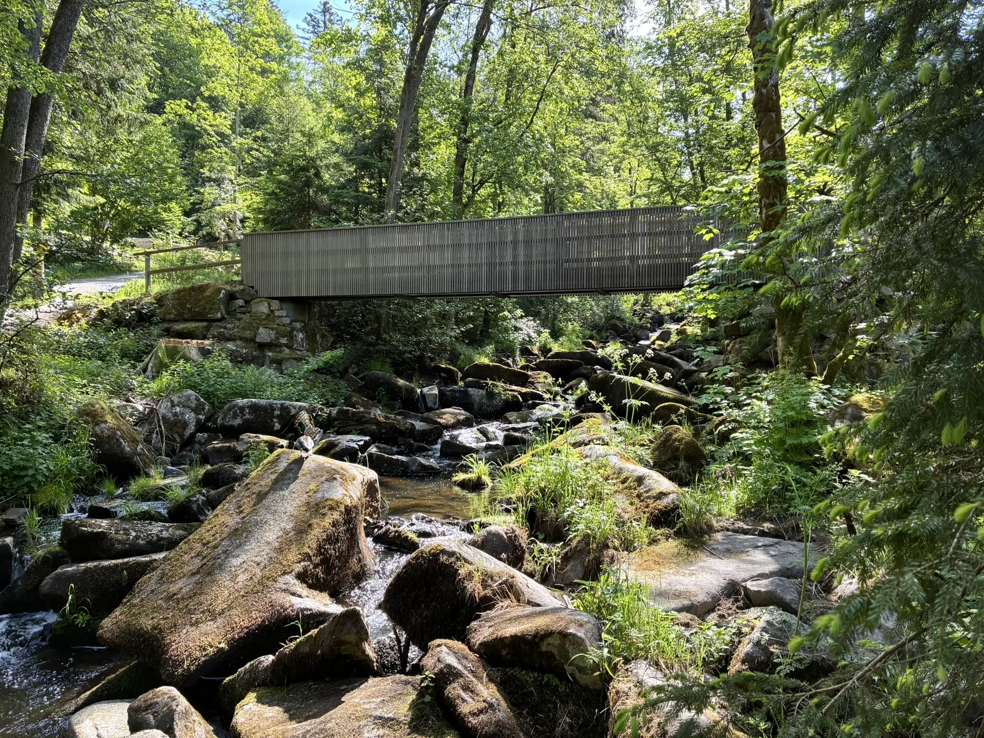 Wanderung durch die Saußbachklamm | © Killesreiter Marlene