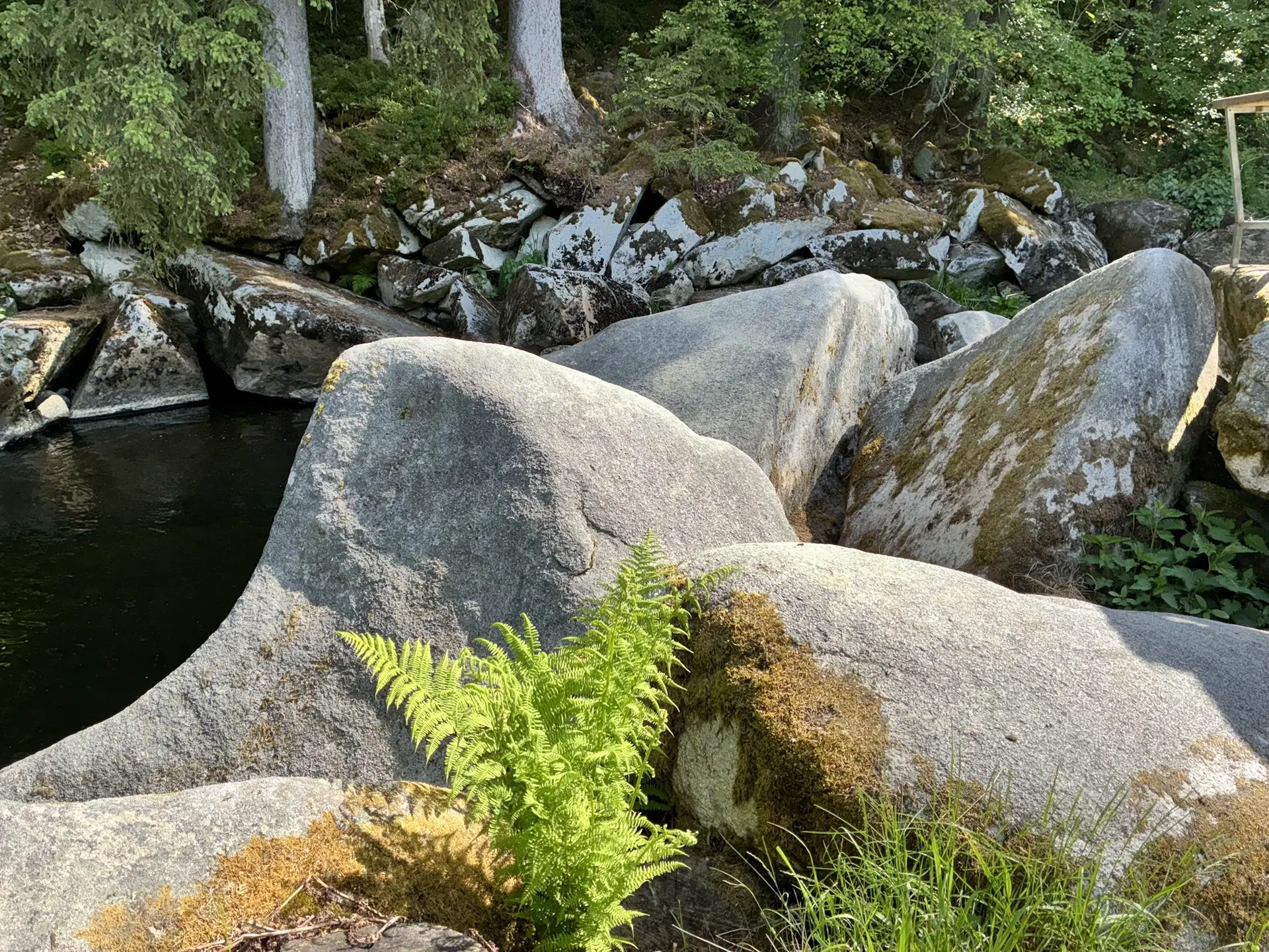 Wanderung durch die Saußbachklamm | © Killesreiter Marlene
