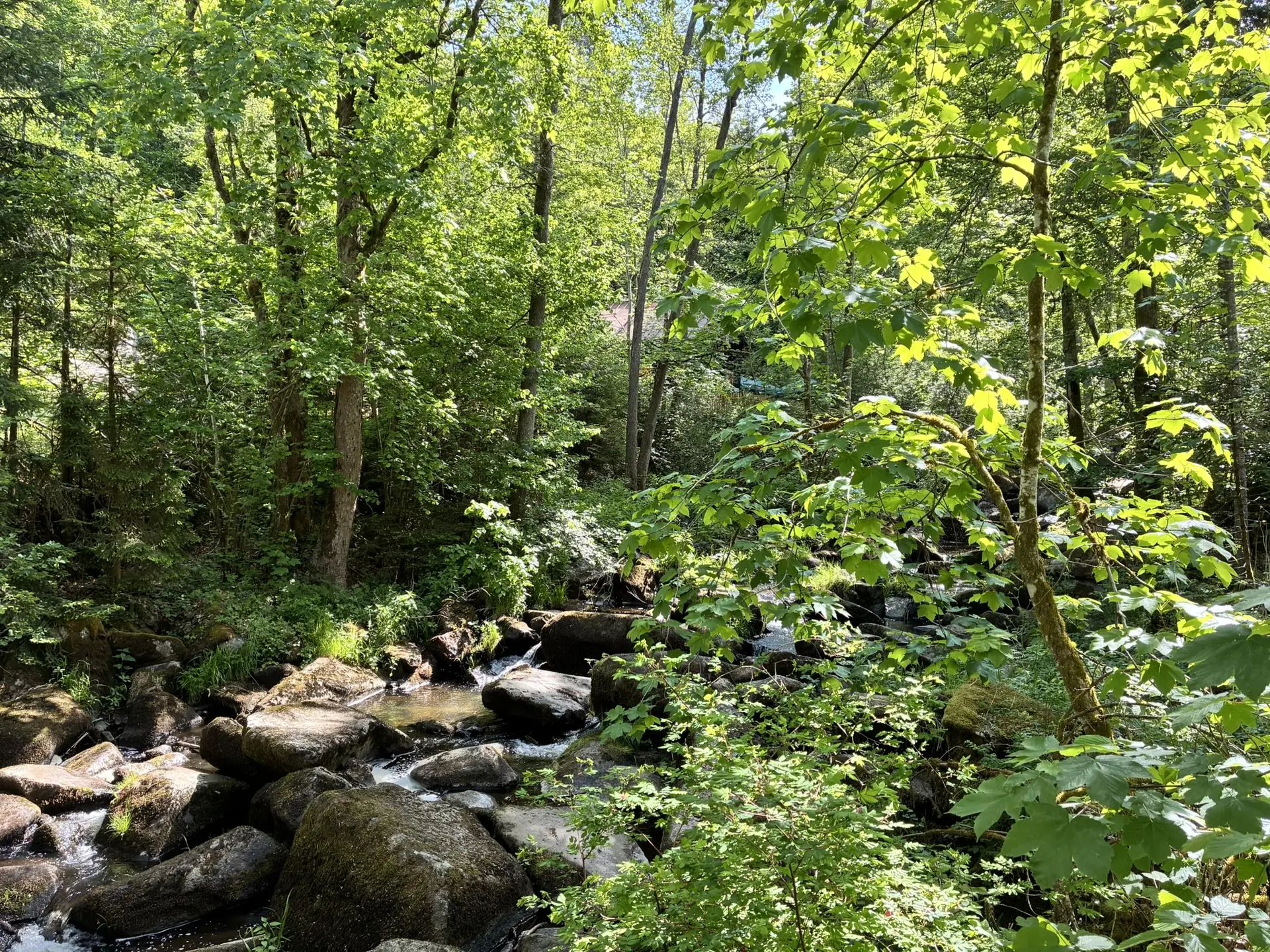 Wanderung durch die Saußbachklamm | © Killesreiter Marlene