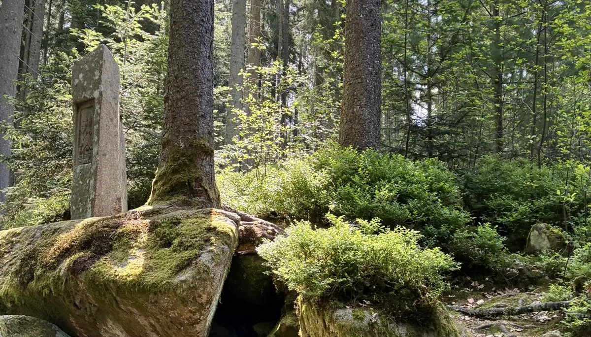 Wanderung durch die Saußbachklamm | © Killesreiter Marlene