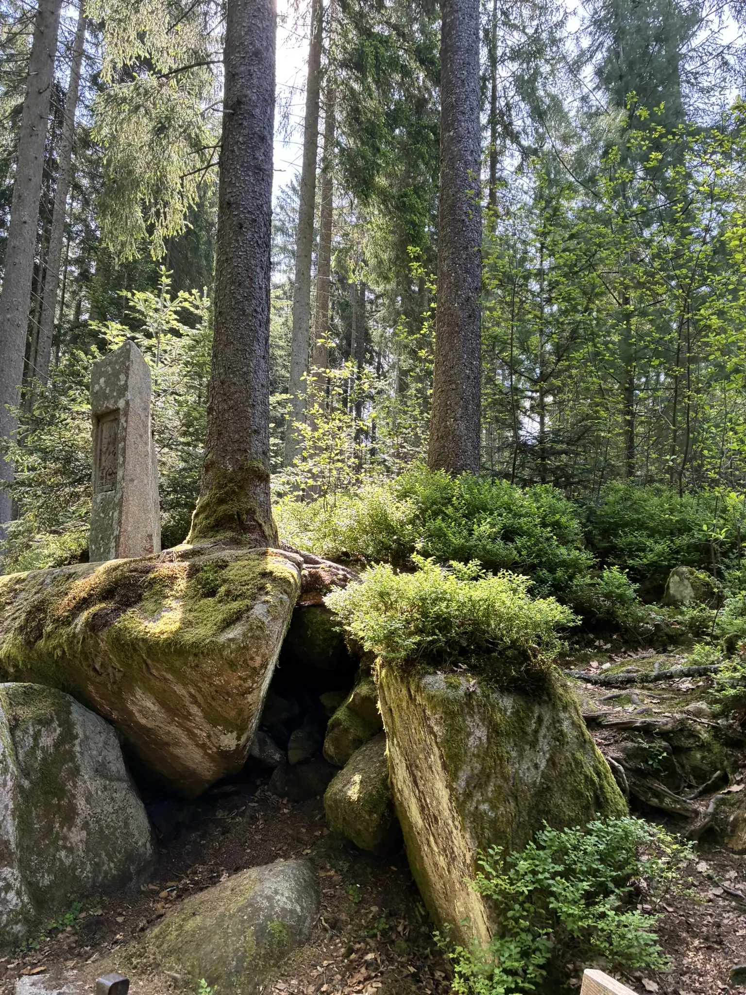 Wanderung durch die Saußbachklamm | © Killesreiter Marlene