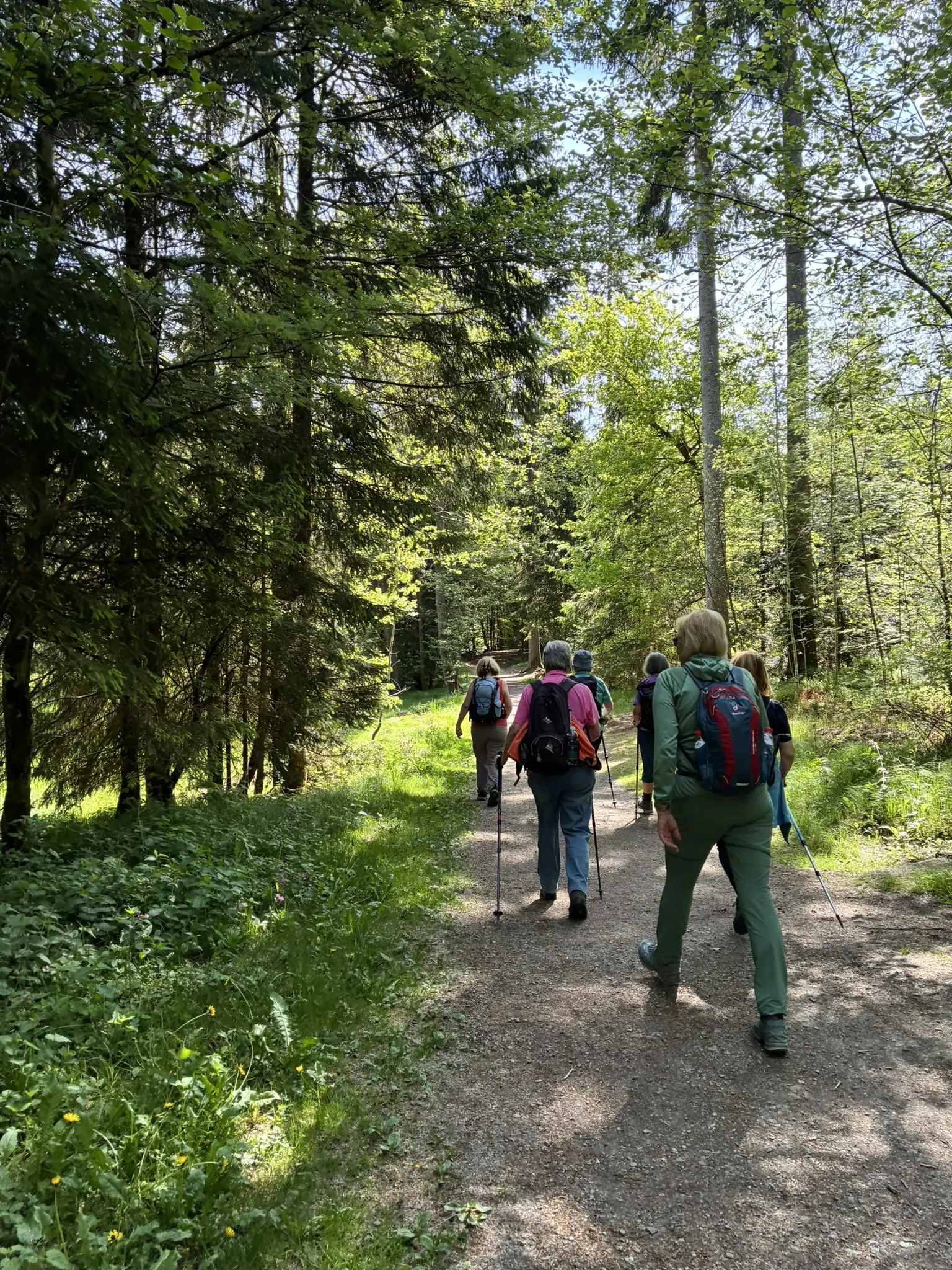 Wanderung durch die Saußbachklamm | © Killesreiter Marlene