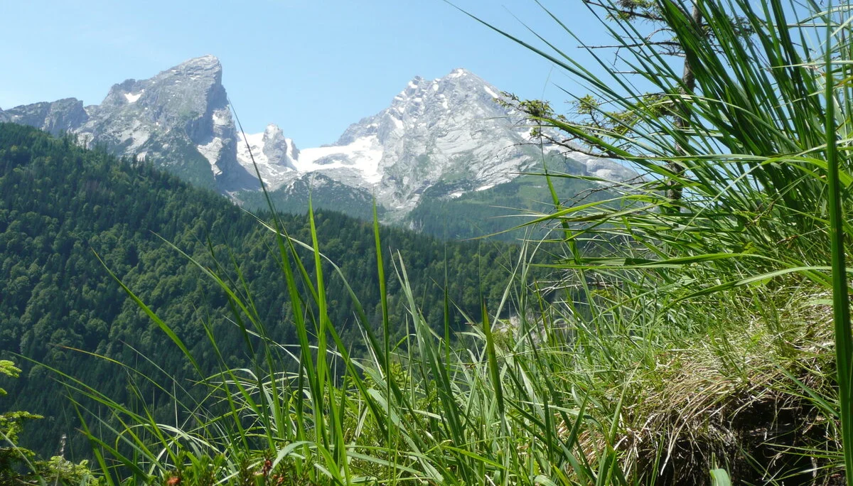 Klettersteigkurs | © Klettersteigkurs