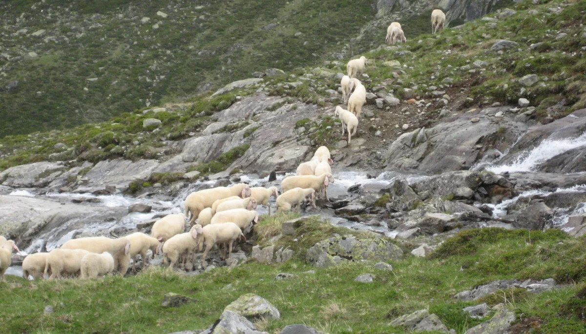 Hochtourentraining  | © Hochtourentraining 