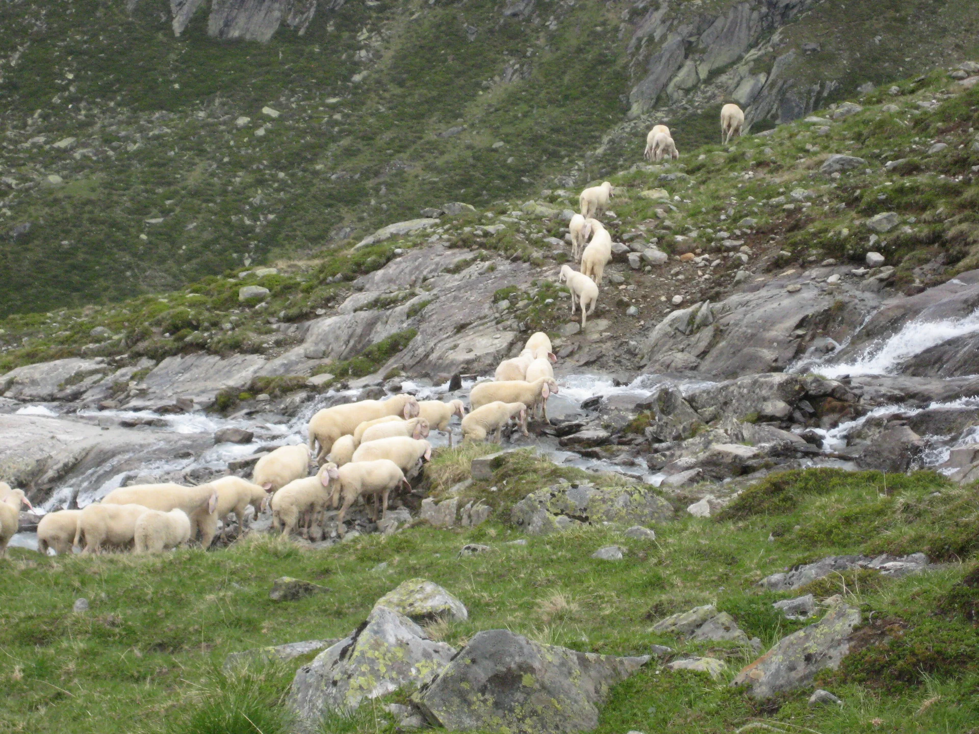 Hochtourentraining  | © Hochtourentraining 