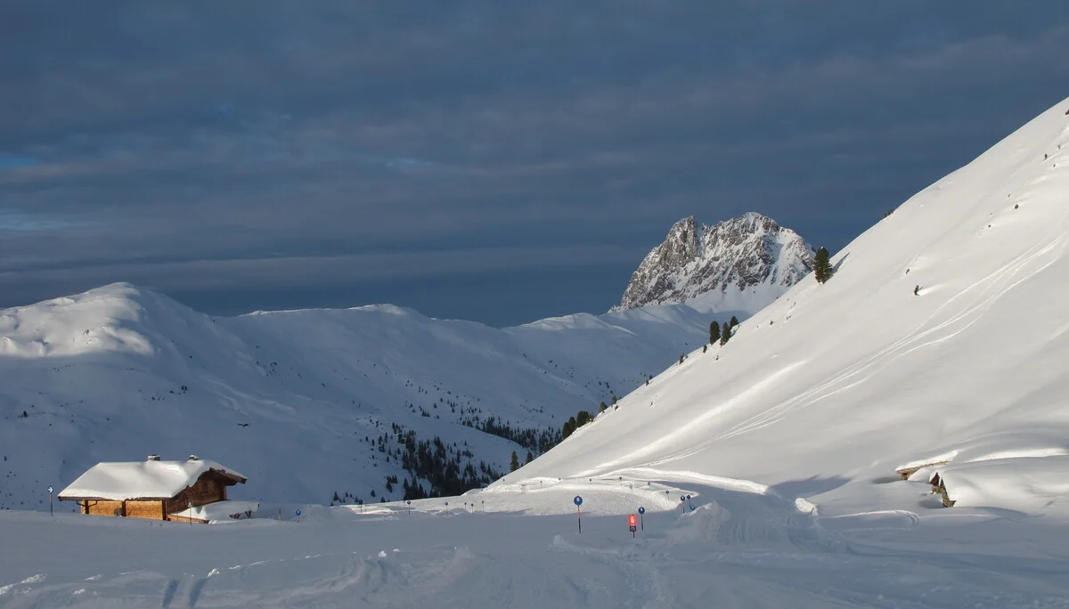 Piste  | © Piste 