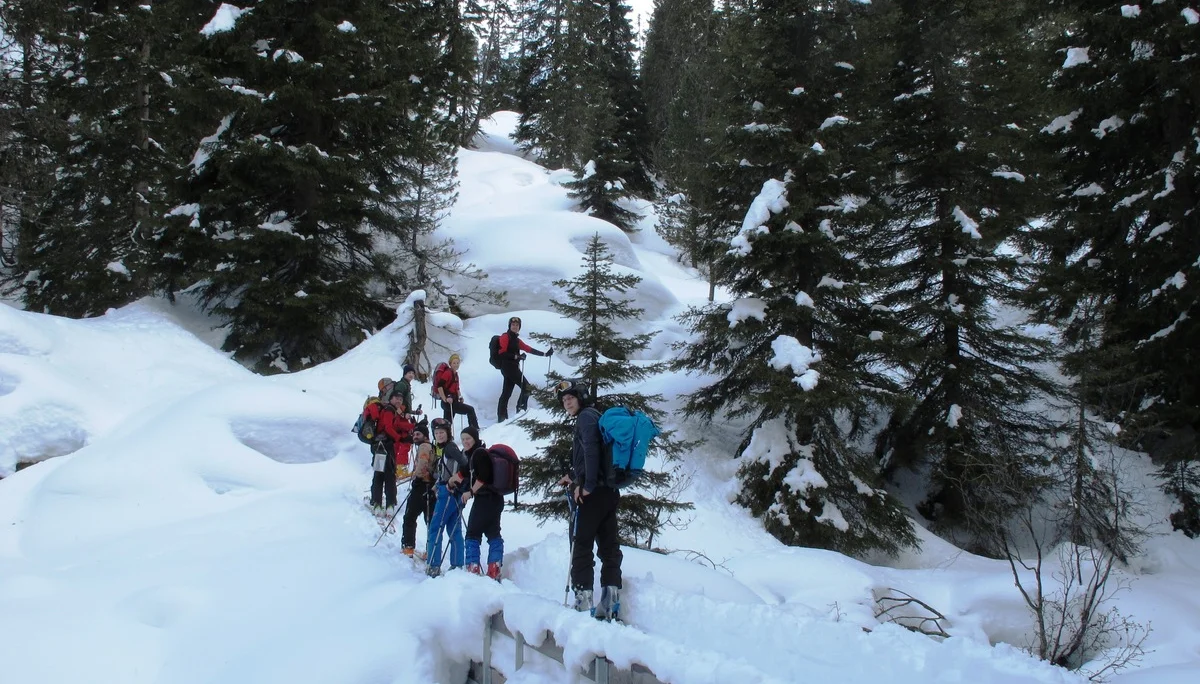 Piste  | © Piste 