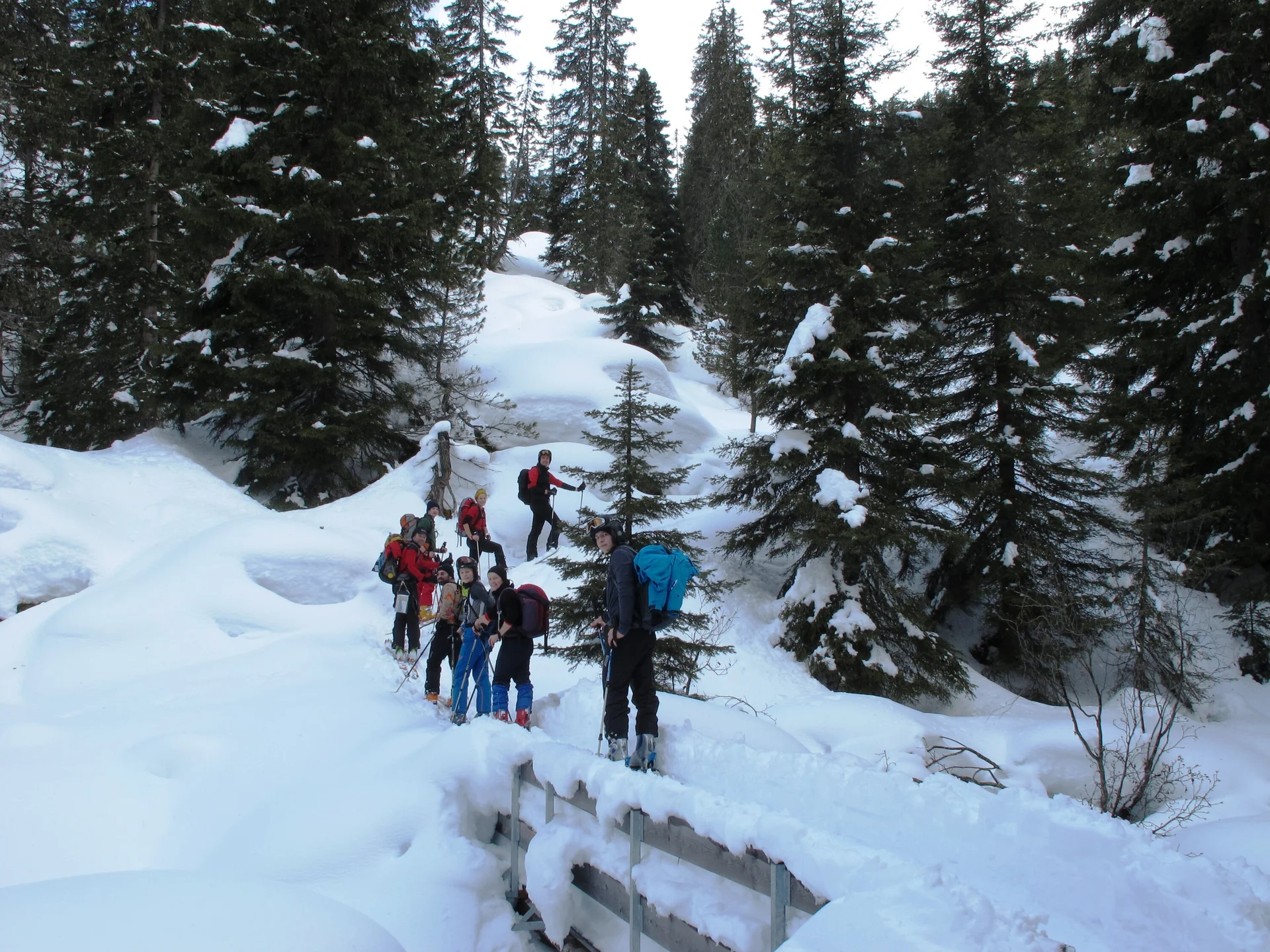 Piste  | © Piste 