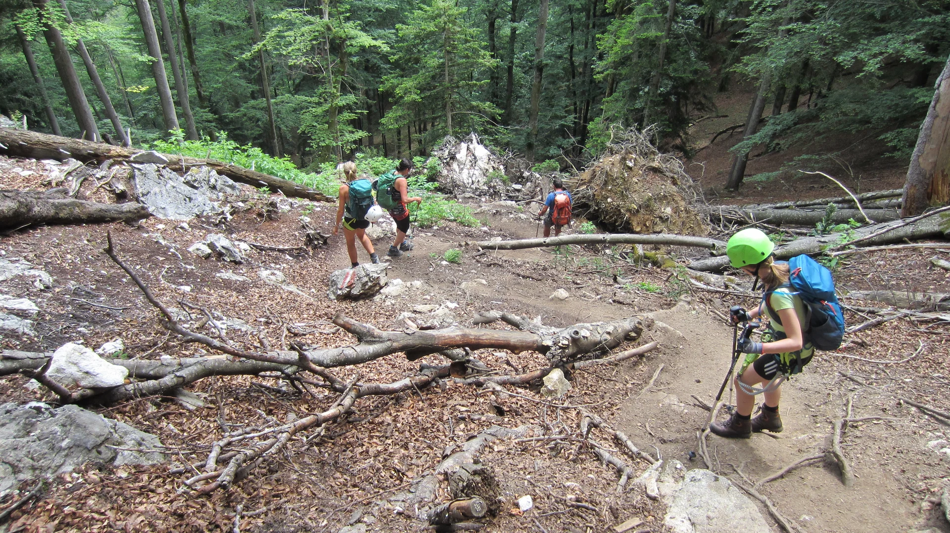 Klettersteigkurs | © Klettersteigkurs