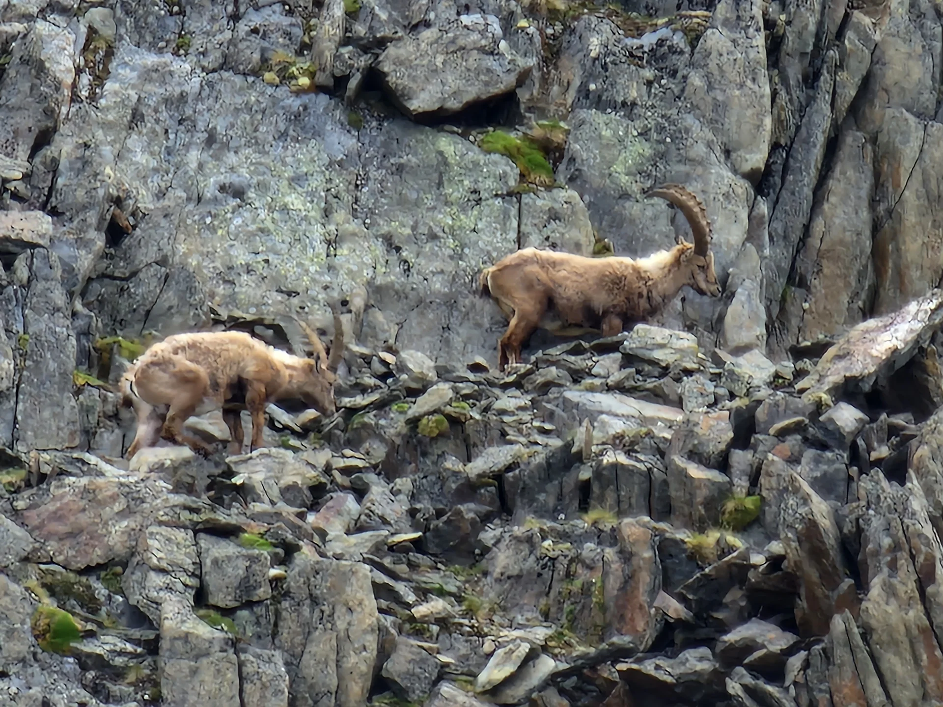Gletscherkurs | © Gletscherkurs