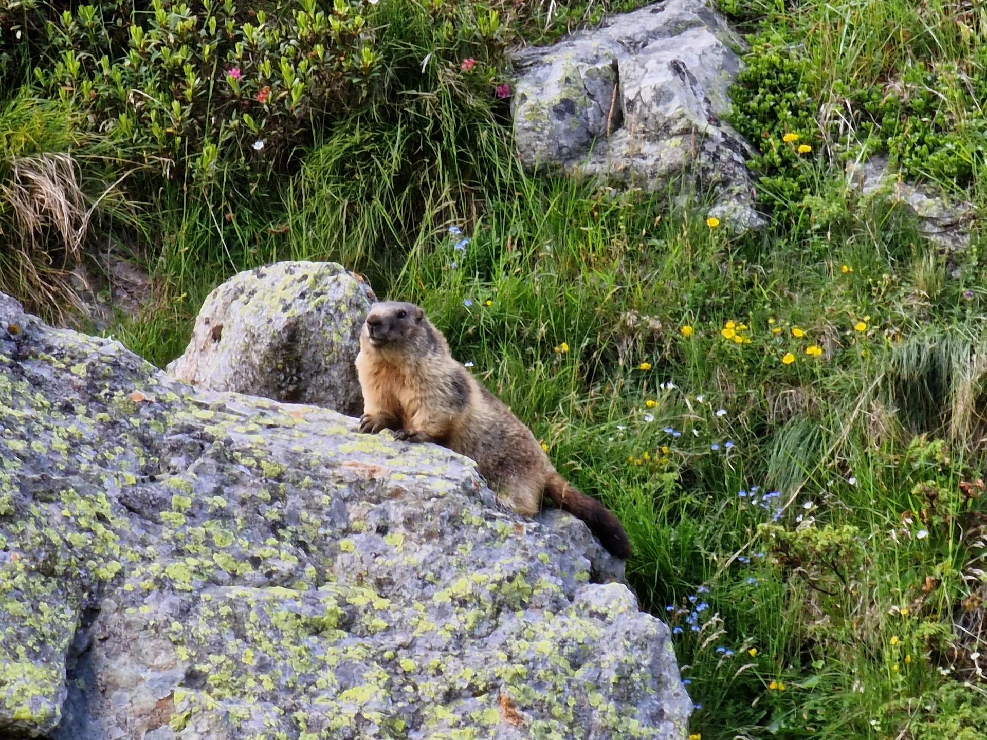 Gletscherkurs | © Gletscherkurs