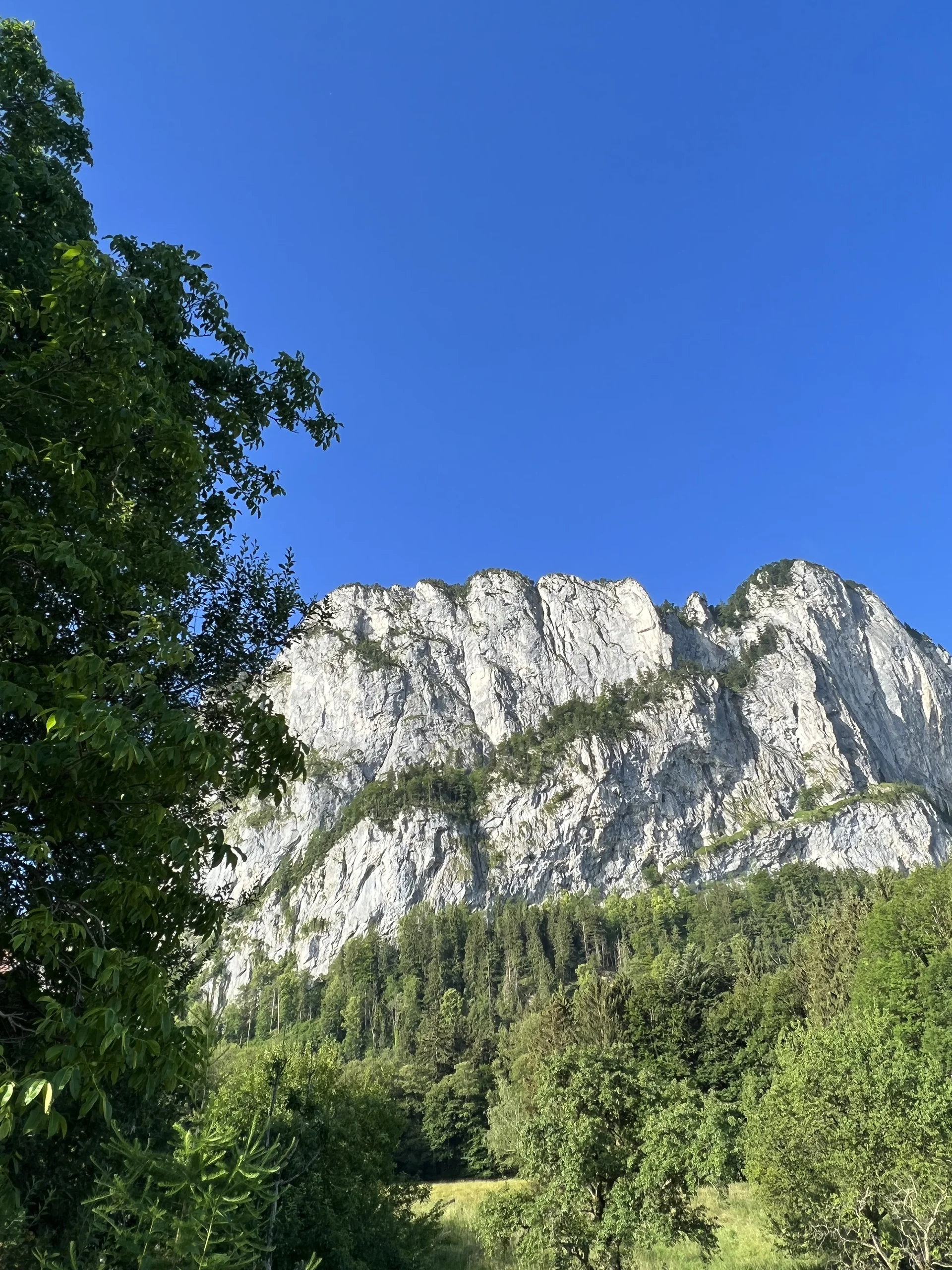 Klettersteigkurs 2022 | © Klettersteigkurs 2022