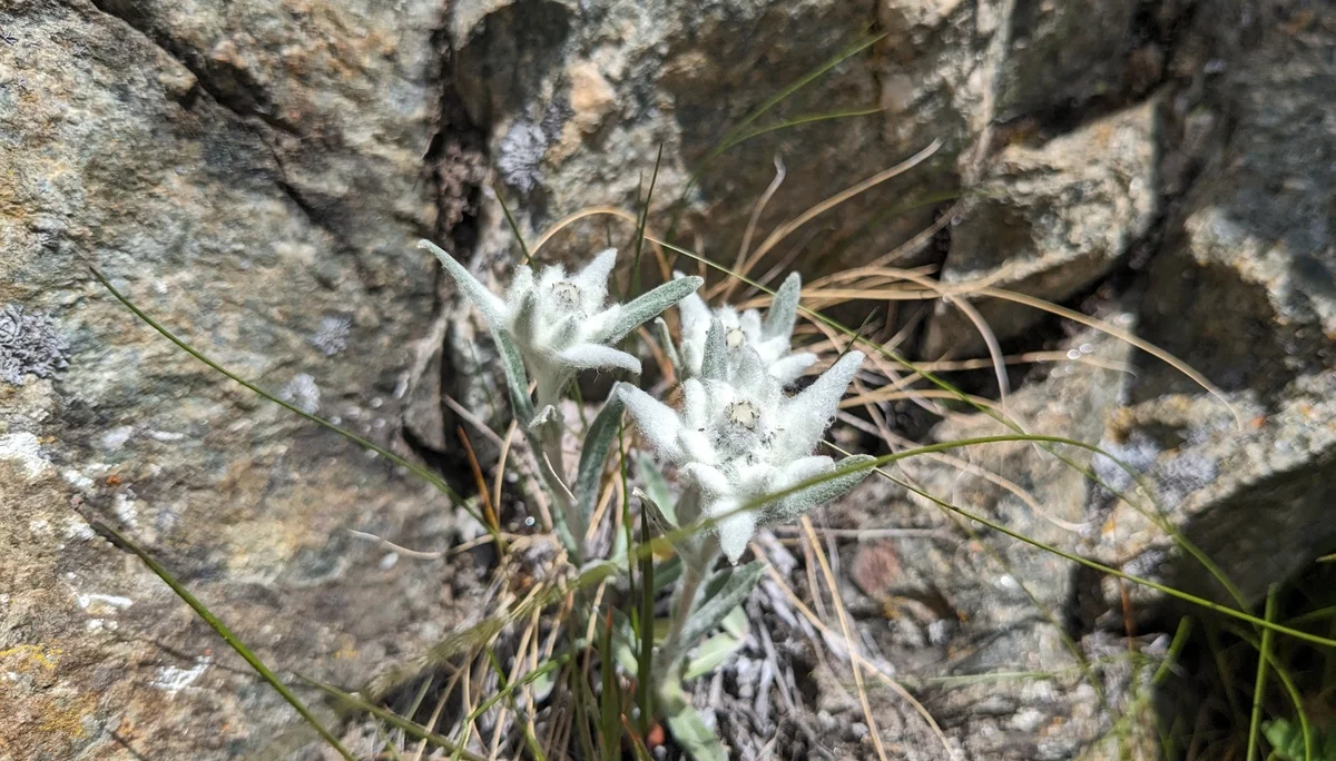 Fixseil, Höllenrachen, Abstieg | © Ernst Konrad