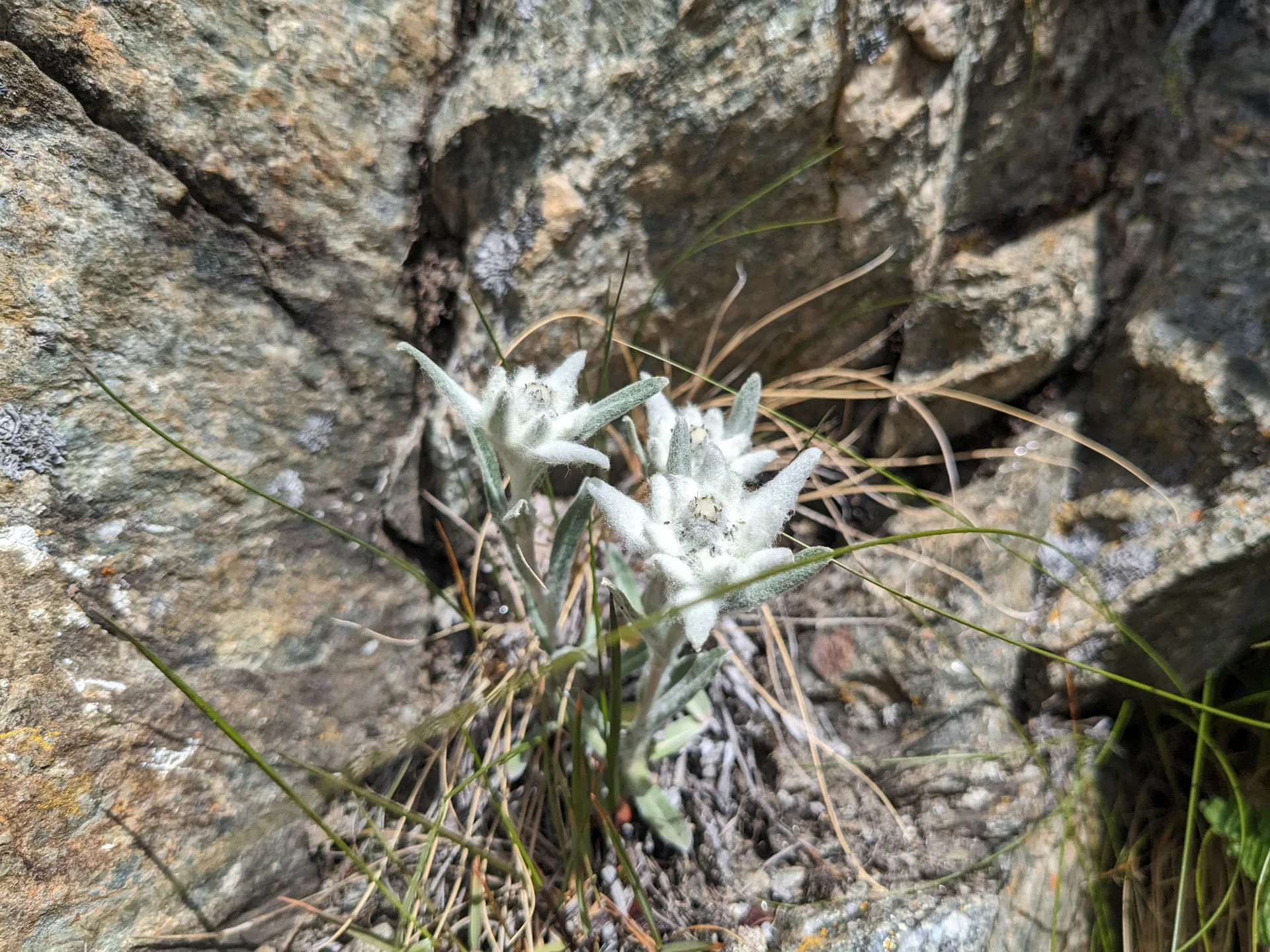 Fixseil, Höllenrachen, Abstieg | © Ernst Konrad