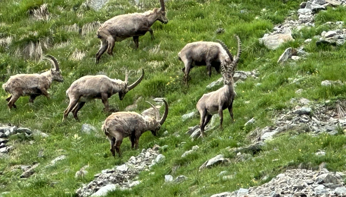 Spaltenbergung, Rutschversuche | © Ernst Konrad