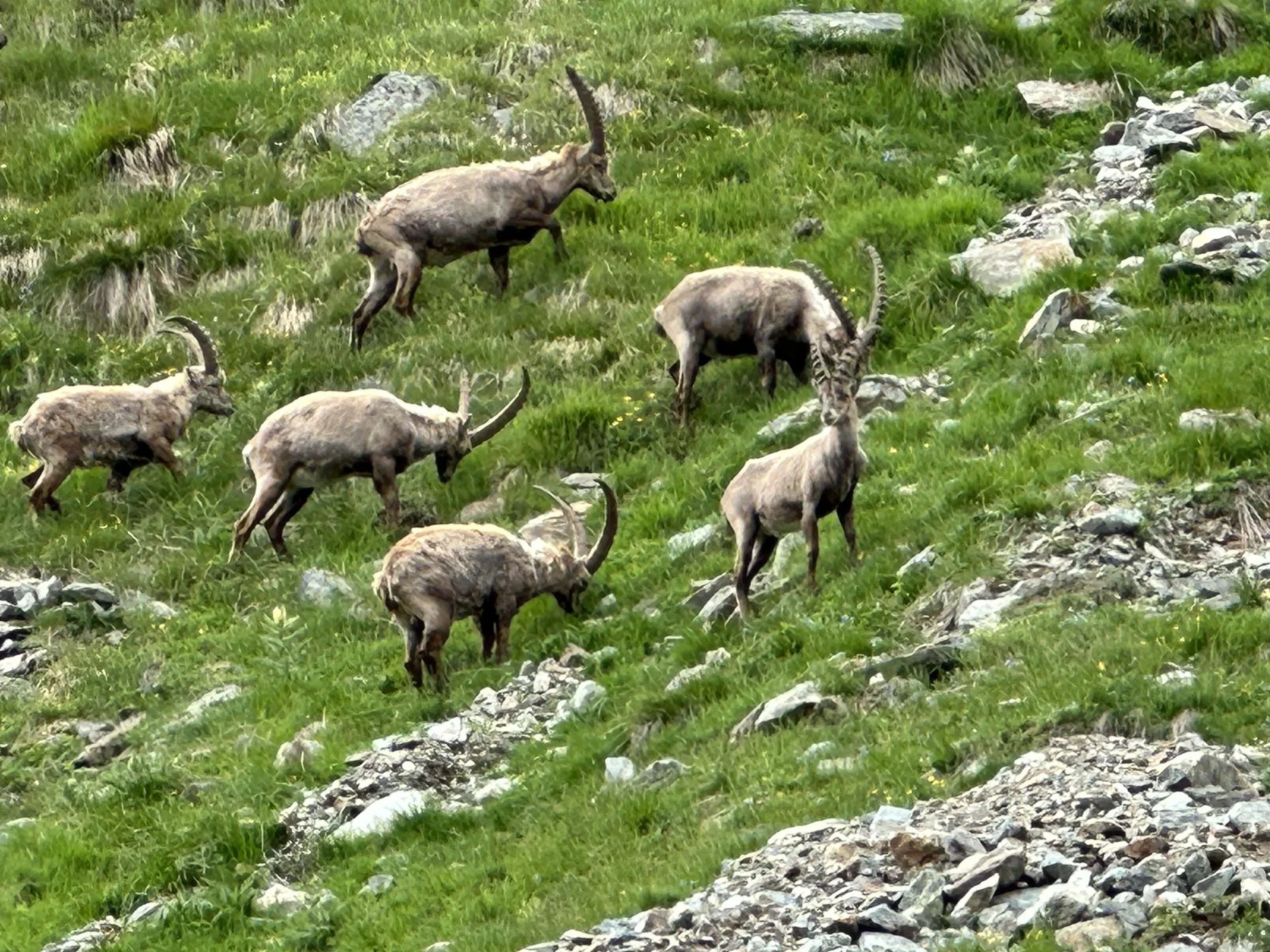 Spaltenbergung, Rutschversuche | © Ernst Konrad